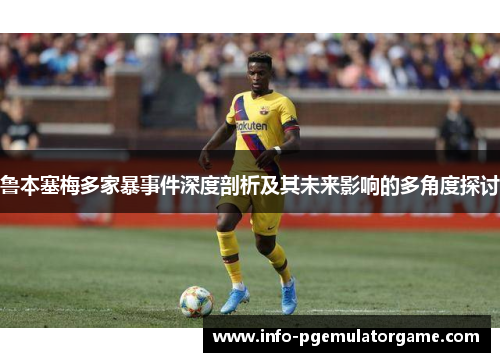 鲁本塞梅多家暴事件深度剖析及其未来影响的多角度探讨