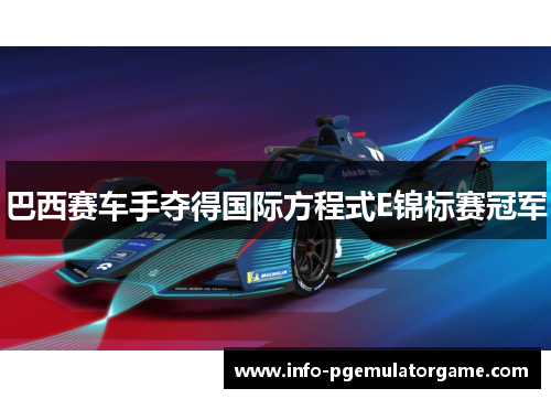 巴西赛车手夺得国际方程式E锦标赛冠军