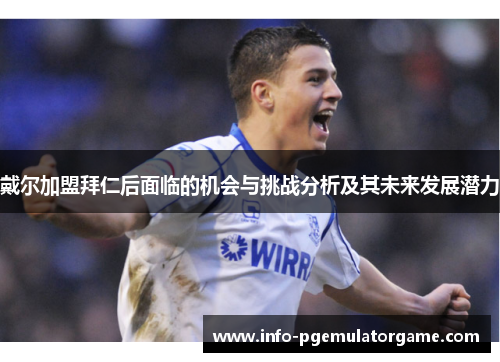 戴尔加盟拜仁后面临的机会与挑战分析及其未来发展潜力 戴尔加盟拜仁后面临的机会与挑战分析及其未来发展潜力