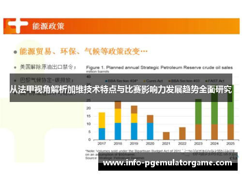 从法甲视角解析加维技术特点与比赛影响力发展趋势全面研究 从法甲视角解析加维技术特点与比赛影响力发展趋势全面研究