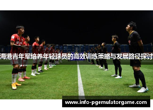 海港青年军培养年轻球员的高效训练策略与发展路径探讨